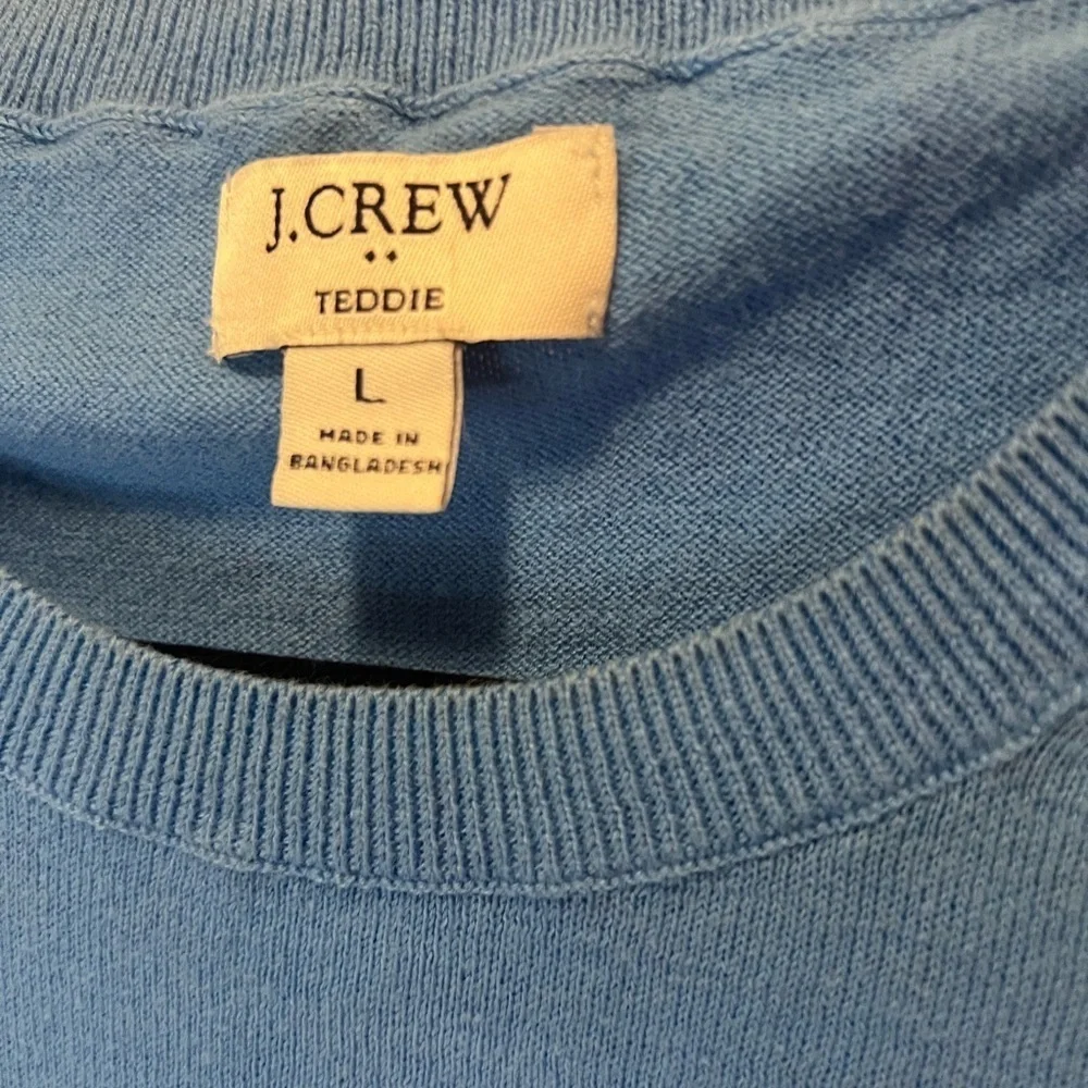 J. Crew Teddie Blue Long Sleeve Sweater with Relaxed Fit